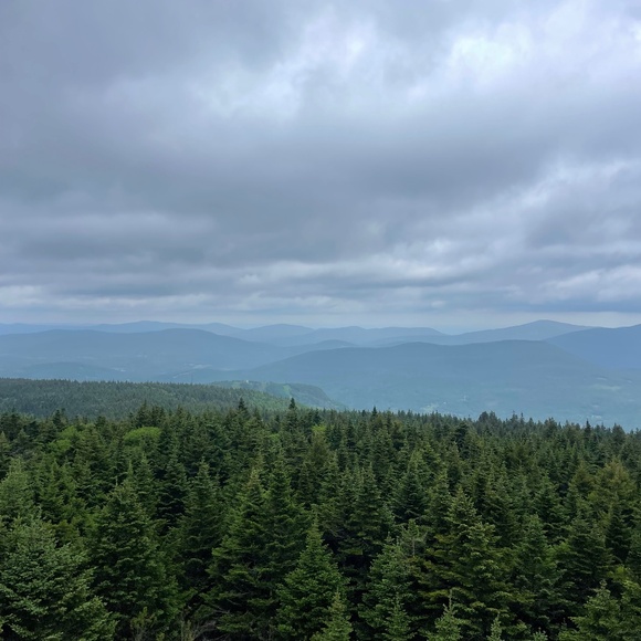 black ralph lauren halter top for sejal110 - Picture 1 of 1